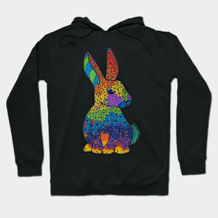 Rainbow rabbit Hoodie